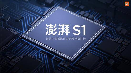 市领导为“党群友谊林”揭牌